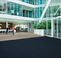 Forbo Coral в плитке